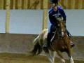 pony