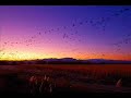 audio soul project - return flight (julien parise remix)