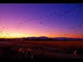 audio soul project - return flight (julien parise remix)