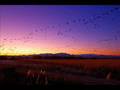 Audio Soul Project - Return Flight (Julien Parise Remix)