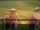 Vietnam 2005