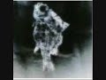 Scott Tuma \"New Joy\"