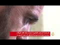 المستثمرون القطريون يتجاوزون الحصار ويفتحون آفاقا جديدة -Views : 0