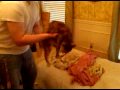 YouTube - Kitten Launch