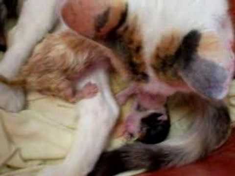 child birth