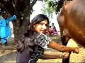 Iman dhol jaingay