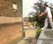 Huge cat leap