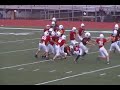 Cardinals Bengals Superbowl 2009 31-13 No. 11