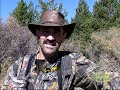 Elk Hunting Rutting Bulls