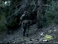 Utah Elk Hunting, Bearpaw Outfitters, Guides Elk Hunts