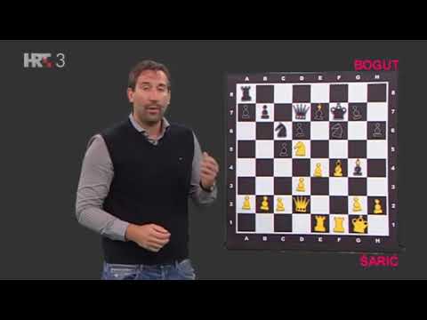Ivan Šarić - Željko Bogut, kako se igra ekipni šah