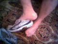 my m8ts groty sweaty trainers my m8ts groty sweaty trainers