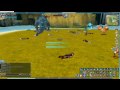 Florensia sommi vs. Serbetus