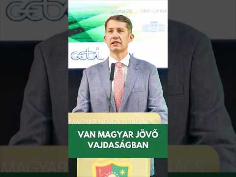 Az itthon tanuló magyar egyetemisták életben tartják a jövőbe vetett hitet-cover