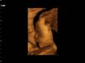 videos de Davids Princess 3
