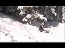 andrew powder 360 crash