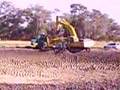 Komatsu PC300 Loading Dumper