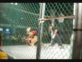 mma Doger Campeon XFS resumen bonebreakers