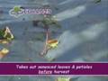 Pre harvest.wmv