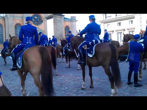 horses grand national horses grand national
