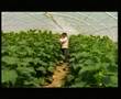 Mukemmel Turkiye Tanitim Filmi  Excellent Film About Turkey 