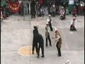 XVI CONCURSO