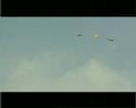 videos de Leo Pavela - My Seagull
