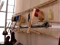 carpet factory hetian carpet factory hetian