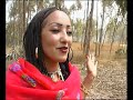 Helen Pawlos Sings /AKBARU/ Eritrean Tigres Song