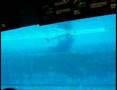 Genova Acquarium