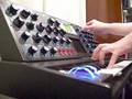 Minimoog Voyager - Demo - By: Carlos Magno Moulin Lima