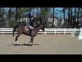 Sam H. COC 3/6/10 Fences