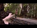 Clean With Caution - Telus Filmaker showdown submission 2007