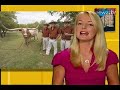 College Traditions: Mascot
