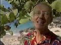 Tradewinds - Caribbean Belly Tradewinds - Caribbean Belly