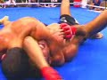 Vitamins e Minerals-Shooto Brazil III Vitamins and Minerals