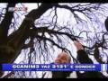 Kivircik ali - Canimin ici