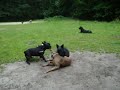 Thyson, Emma+Camillo