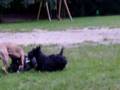 Thyson, Emma+Camillo