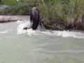Tubing Viajeros x-treme Bloopers
