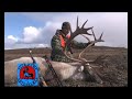 Jack Hume Adventures Caribou Hunt (Petersons)