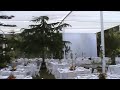 Carpa blanca 6mts con transparencias en zapallar 1