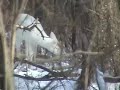 White Deer