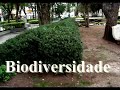 biodiversidade biodiversidade