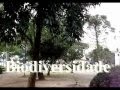 biodiversidade
