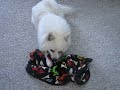 Spaky & His Binky