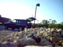 LMRC Crawlin\ LMRC Crawlin\