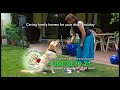 Dog   boarding  alternative