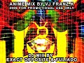 SCREAMING Acid Breaks - DJ / VJ Mix - Part C