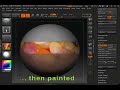 Zbrush - Poly Painting tips for Zbrush 3 Zbrush - Poly Painting tips for Zbrush 3